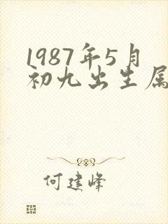 1987年5月初九出生属兔的命运好吗