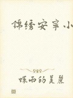 锦绣安宁小说封面