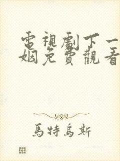 电视剧下一站婚姻免费观看全集剧情