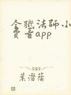 全职法师小说免费看app