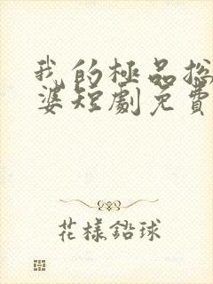 我的极品总裁老婆短剧免费观看