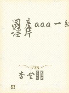 国产aaa一级淫片