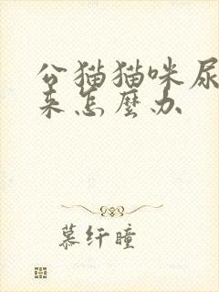 公猫猫咪尿不出来怎么办封面