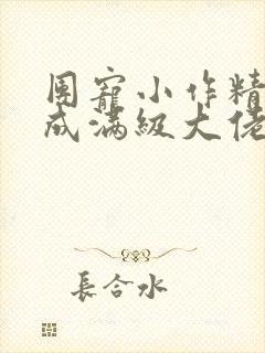 团宠小作精重生成满级大佬