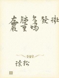 左肺多发微结节严重吗