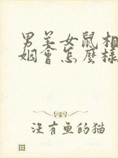 男羊女鼠相配婚姻会怎么样呢封面