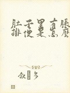 肚子里有胀气不排便是怎么回事