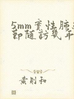 5mm实性肺结节随访几年