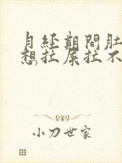 月经期间肚子疼想拉屎拉不出来