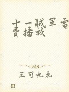 十一贼军电影免费播放