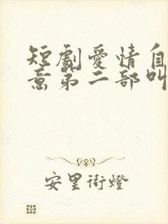 短剧爱情自有天意第二部叫什么封面