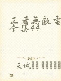正者无敌电视剧全集44