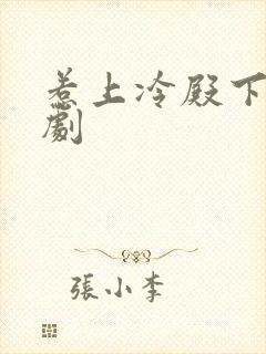 惹上冷殿下电视剧