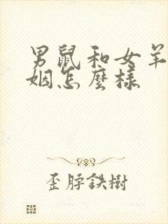 男鼠和女羊的婚姻怎么样封面