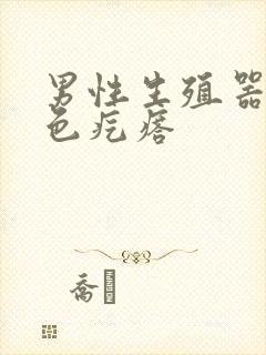 男性生殖器长白色疙瘩