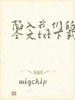 陷入我们的热恋全文txt下载