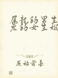 属龙的男生和属兔的女生姻缘怎么样