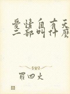 爱情自有天意第二部叫什么