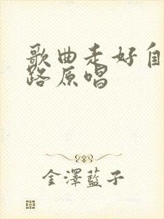 歌曲走好自己的路原唱