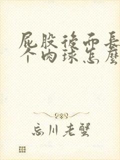 屁股后面长了一个肉球怎么治疗