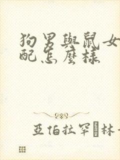 狗男与鼠女的婚配怎么样封面