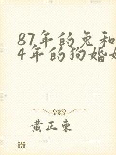 87年的兔和94年的狗婚姻相配吗封面