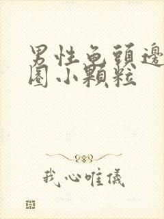 男性龟头边缘一圈小颗粒