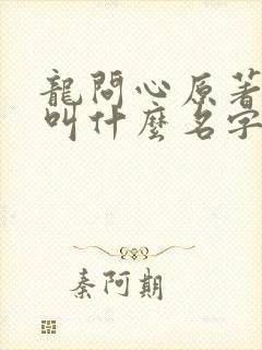 龙问心原著小说叫什么名字