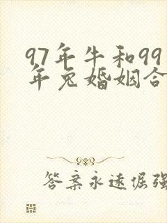 97年牛和99年兔婚姻合适吗封面