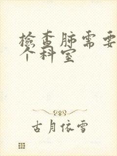 检查肺需要挂哪个科室