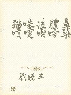 猫咪流脓鼻涕打喷嚏吃啥药