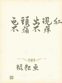 龟头出现红疙瘩不痛不痒