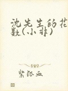 沈先生的花式调数(小非)