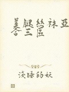 美腿丝袜亚洲综合三区