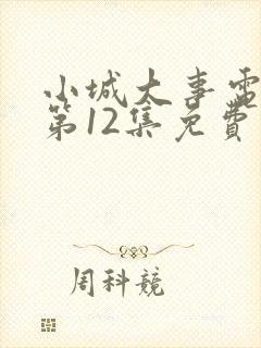 小城大事电视剧第12集免费观看