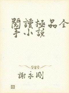 阅读极品全能高手小说