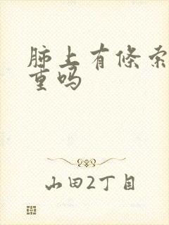 肺上有条索影严重吗