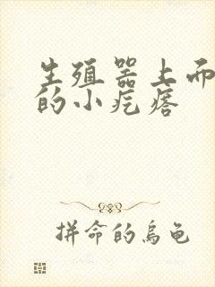 生殖器上面有痒的小疙瘩