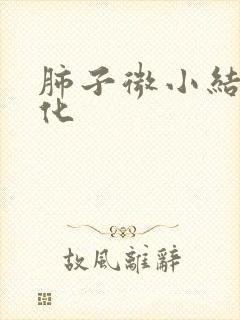 肺子微小结节钙化