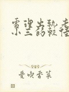 处理出轨老公和小三的较佳方法封面