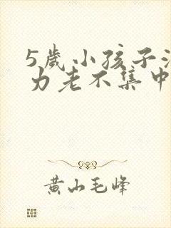 5岁小孩子注意力老不集中