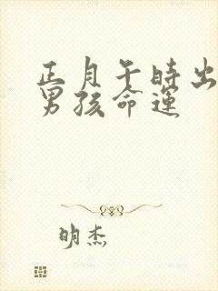 正月午时出生的男孩命运