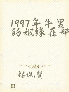 1997年牛男的姻缘在哪年封面