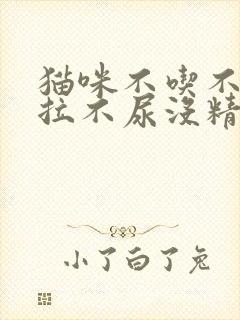 猫咪不吃不喝不拉不尿没精神是怎么回事封面