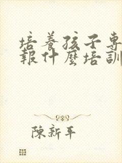 培养孩子专注力报什么培训班