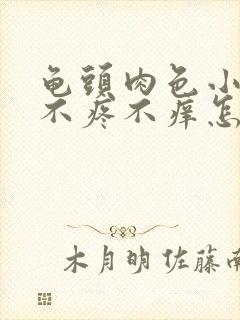 龟头肉色小疙瘩不疼不痒怎么回事