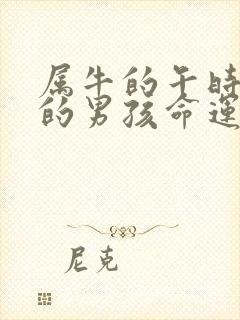 属牛的午时出生的男孩命运