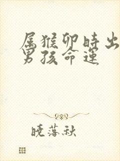 属猴卯时出生的男孩命运