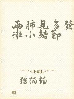 两肺见多发实性微小结节