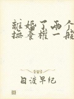 离婚了两个孩子抚养权一般判给谁